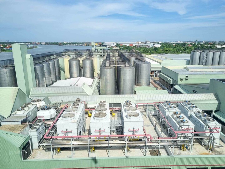 From above: View of the Pathum Thani Brewery site